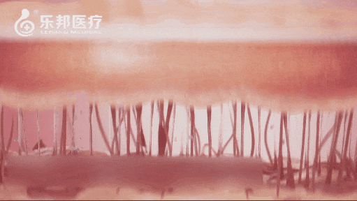 640(3)